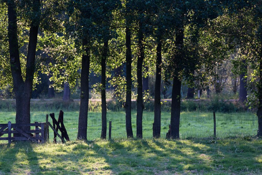 Blier Herne Gorredijk ภายนอก รูปภาพ